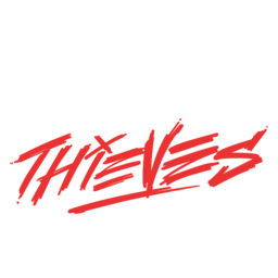 100 Thieves