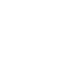 BRUTE