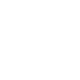 SK Gaming
