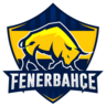 Fenerbahçe Esports