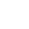 VN Logo