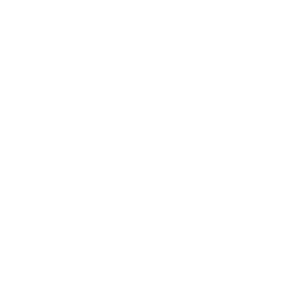 TSM