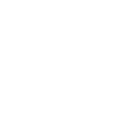 Dplus KIA