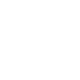 Team Liquid Honda First