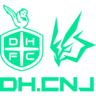 CNJ Logo