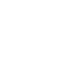 INFN Logo