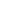 ACE Logo