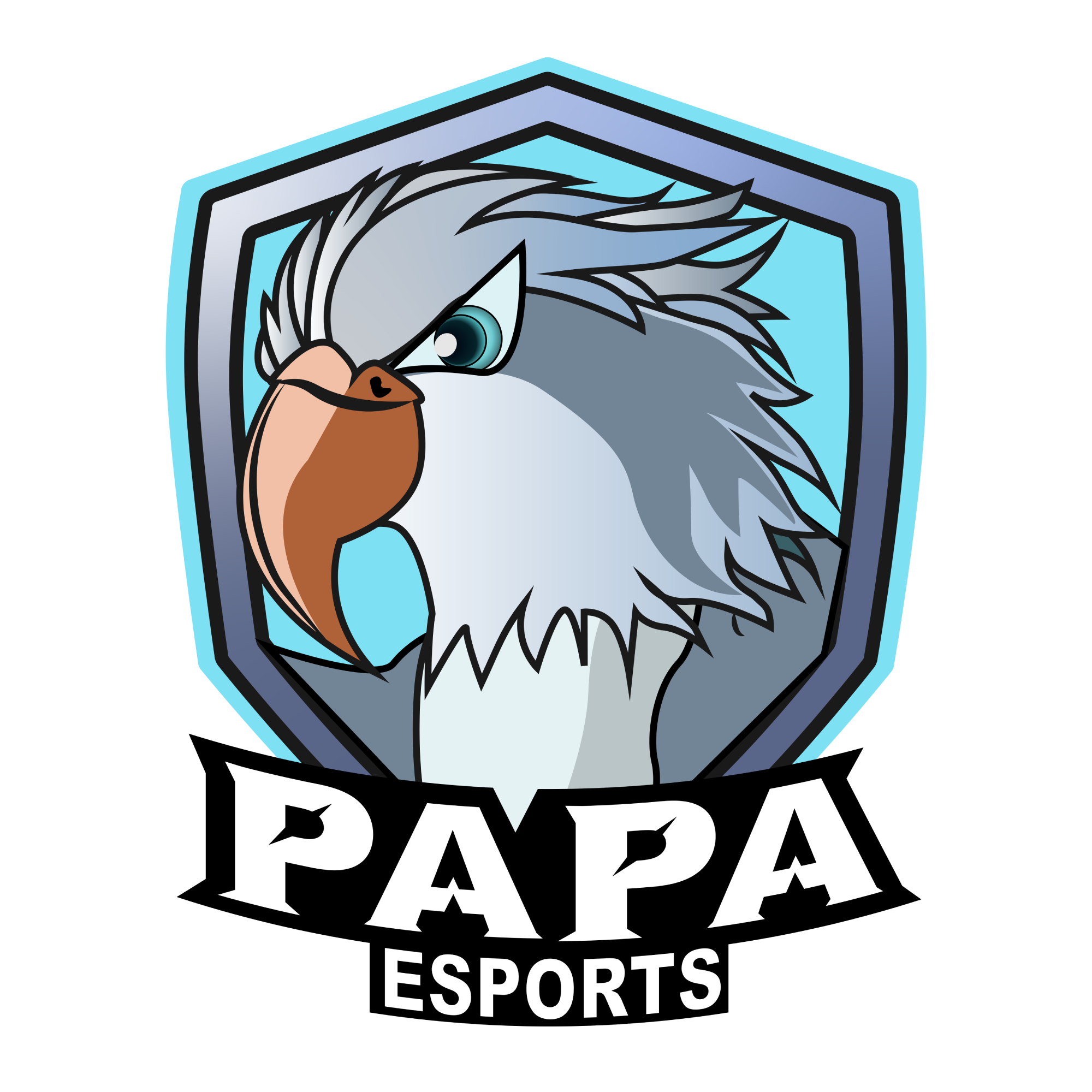 PaPa Esports