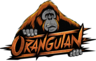 Orangutan Esports