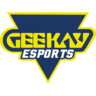 Geekay Esports