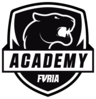 FURIA ACADEMY