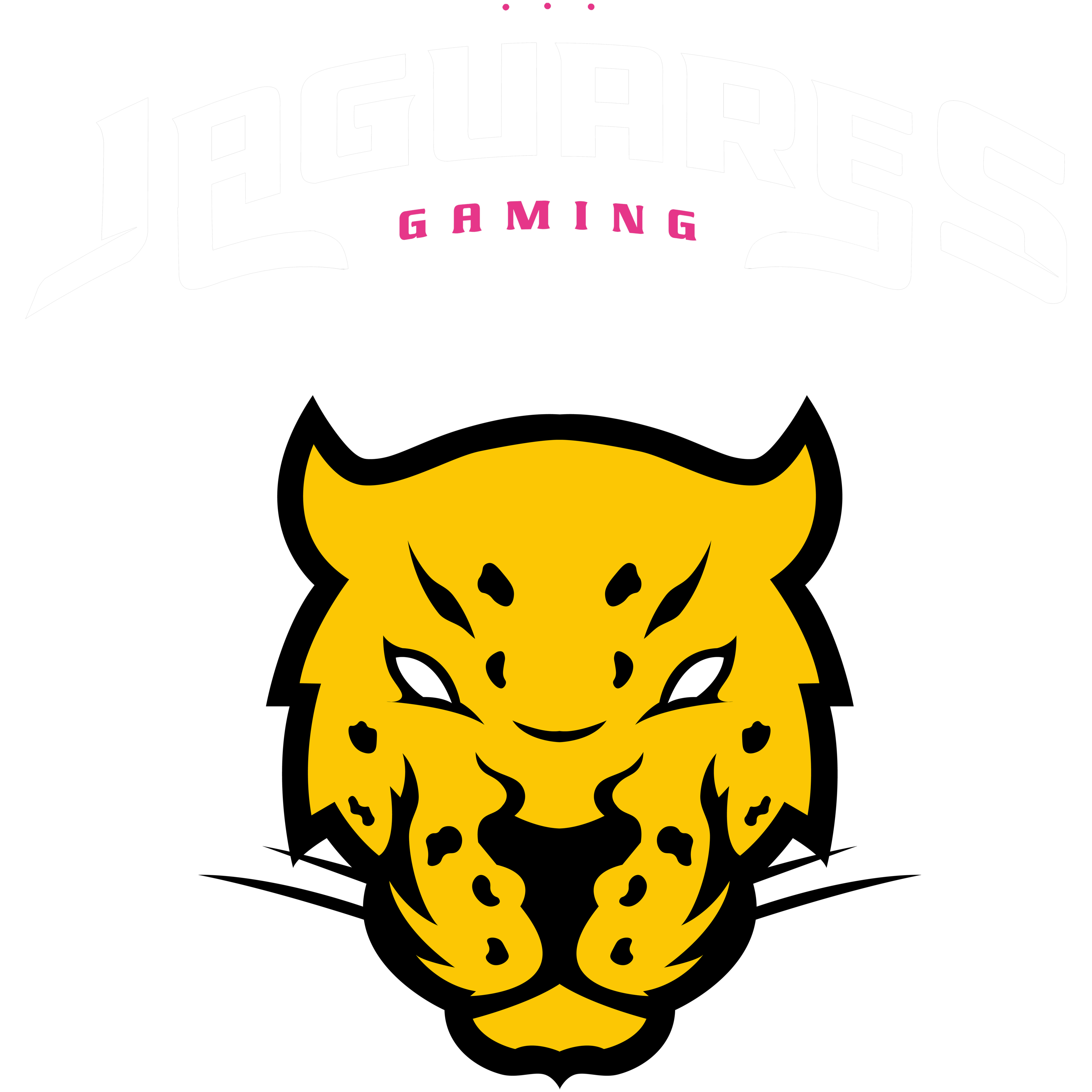 Jaguares Gaming