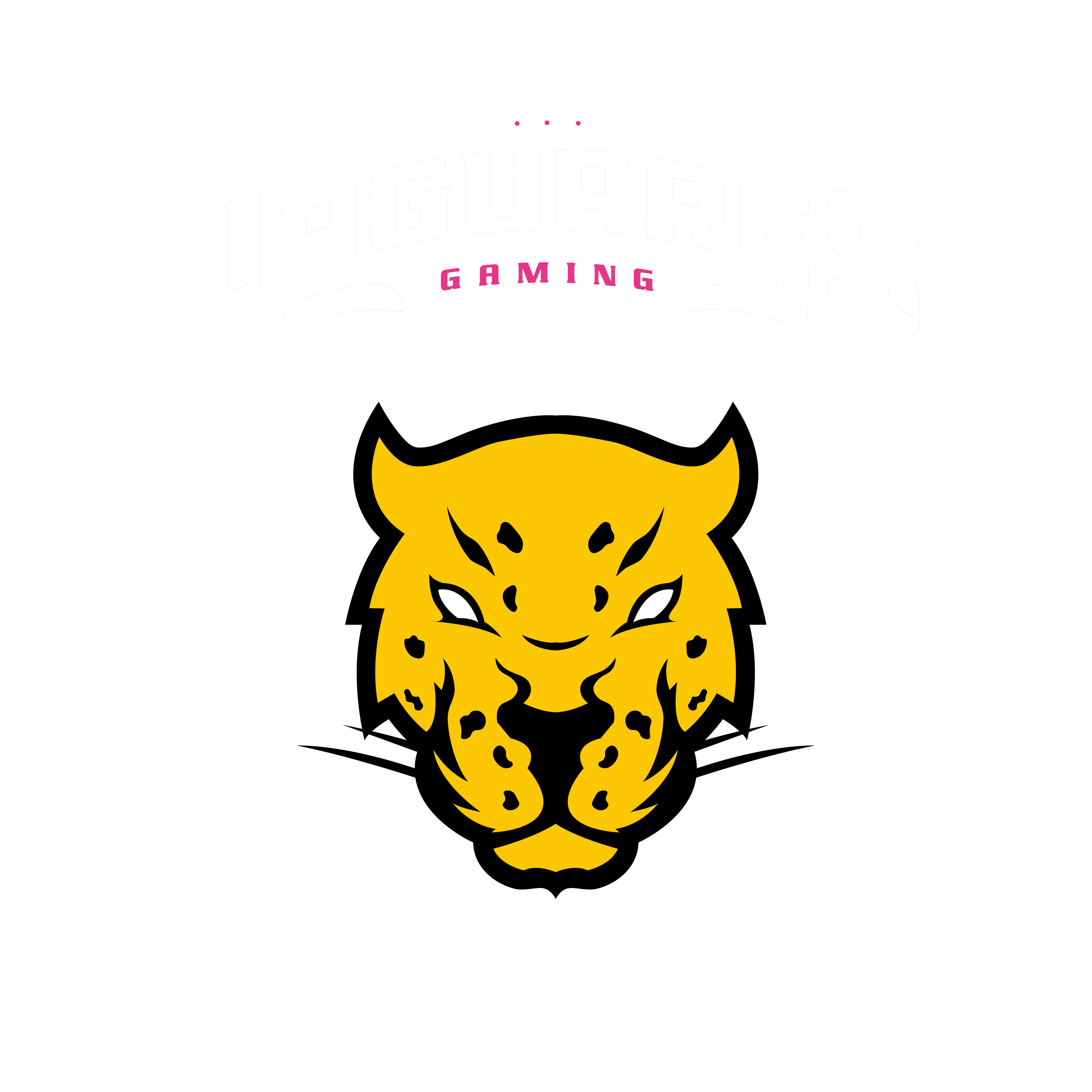 Jaguares Gaming Fem